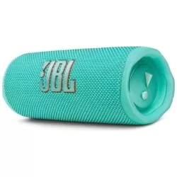 JBL Flip 6